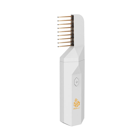 2 In 1 Electric Comb Portable Air Freshener